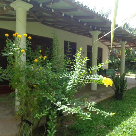 Green Valley Home Stay Talpe Ngoại thất bức ảnh